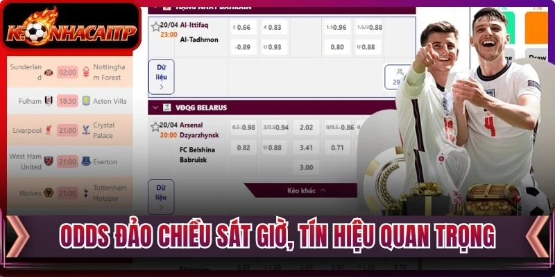 Odds đảo chiều sát giờ, tín hiệu quan trọng
